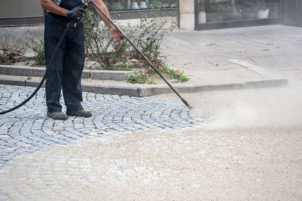 Best Driveway Pressure Washing  in Florham Park, NJ